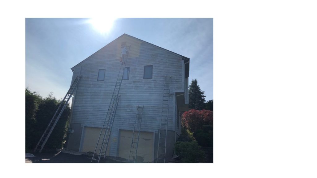 interior & exterior paint